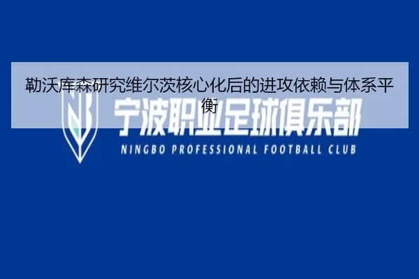 勒沃库森研究维尔茨核心化后的进攻依赖与体系平衡
