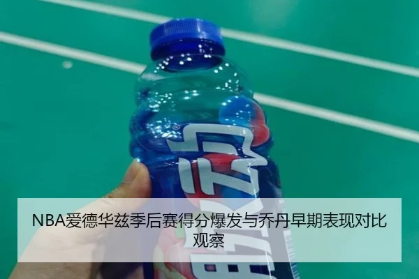 NBA爱德华兹季后赛得分爆发与乔丹早期表现对比观察